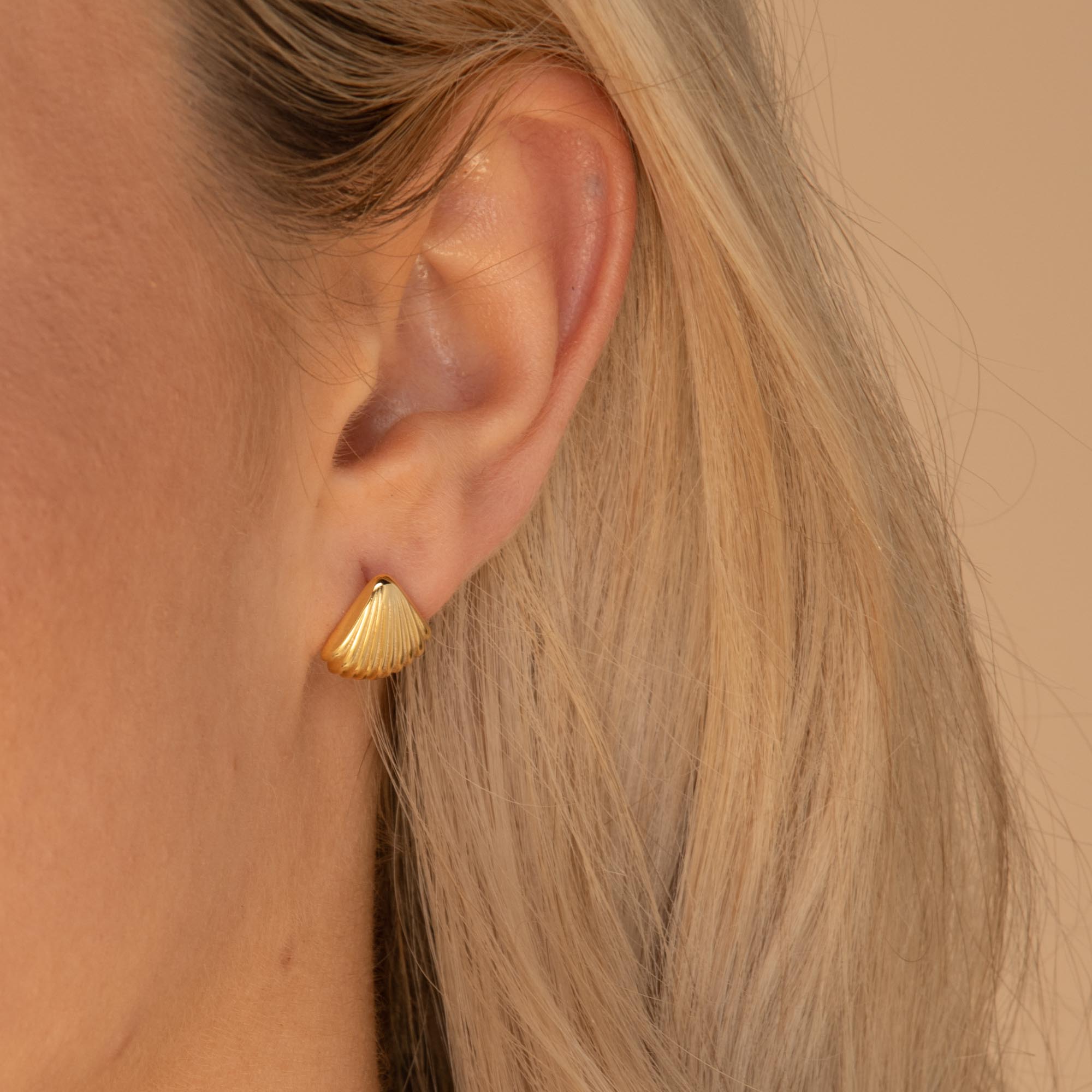 Shell Earrings Gold